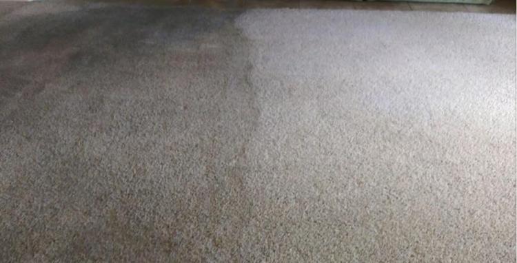 Dirty and Clean carpets