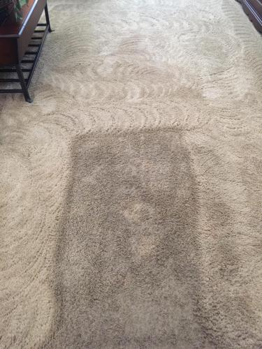 Carpet cleaned with one spot left to show original, dirty condition