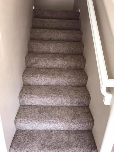 Stairs with brand new carpet installed after
