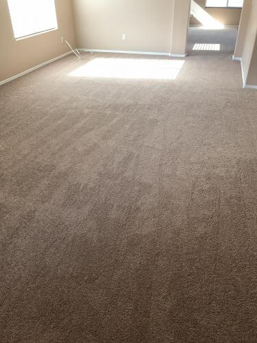 Brand new carpet installed after